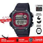 Casio Standard DW-291H-1BV