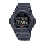 Casio Standard W-219H-8BV